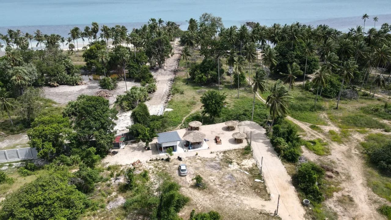 Green Flow restaurant and chill bar among palm trees, 50 m from Ban Tai Beach, Koh Samui